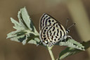 BUITEN BEELD Foto: 41006