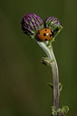 BUITEN BEELD Foto: 41078
