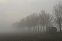 BUITEN BEELD Foto: 41084