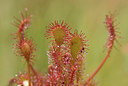 BUITEN BEELD Foto: 41092