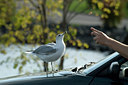 BUITEN BEELD Foto: 41099