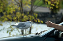 BUITEN BEELD Foto: 41100