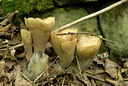 BUITEN BEELD Foto: 41101