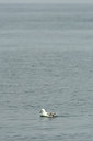 BUITEN BEELD Foto: 41154
