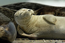 BUITEN BEELD Foto: 41196