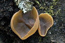 BUITEN BEELD Foto: 41202