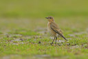 BUITEN BEELD Foto: 41231