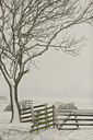 BUITEN BEELD Foto: 41251