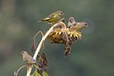 BUITEN BEELD Foto: 41321