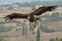 BUITEN BEELD Foto: 41345