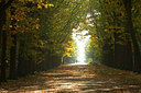 BUITEN BEELD Foto: 41380