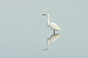 BUITEN BEELD Foto: 41393