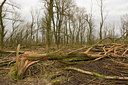 BUITEN BEELD Foto: 41426