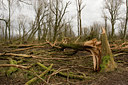 BUITEN BEELD Foto: 41427