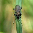 BUITEN BEELD Foto: 41466