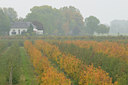 BUITEN BEELD Foto: 41479
