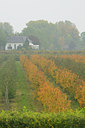BUITEN BEELD Foto: 41481