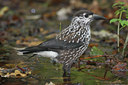 BUITEN BEELD Foto: 41489