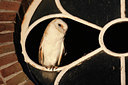 BUITEN BEELD Foto: 41494