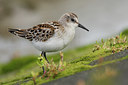 BUITEN BEELD Foto: 41510