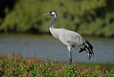 BUITEN BEELD Foto: 41540