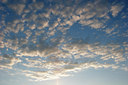 BUITEN BEELD Foto: 41597