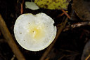 BUITEN BEELD Foto: 41598