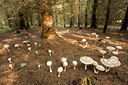 BUITEN BEELD Foto: 41607
