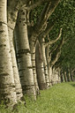 BUITEN BEELD Foto: 41613
