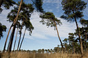 BUITEN BEELD Foto: 41634