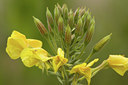 BUITEN BEELD Foto: 41665