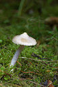 BUITEN BEELD Foto: 41684