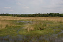 BUITEN BEELD Foto: 41687