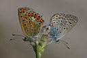 BUITEN BEELD Foto: 41694