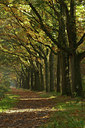 BUITEN BEELD Foto: 41702