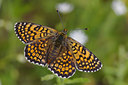 BUITEN BEELD Foto: 41709