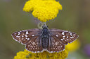 BUITEN BEELD Foto: 41710