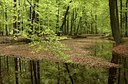 BUITEN BEELD Foto: 41736
