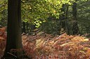 BUITEN BEELD Foto: 41740