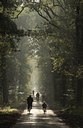 BUITEN BEELD Foto: 41745