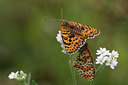 BUITEN BEELD Foto: 41757