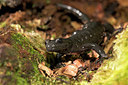 BUITEN BEELD Foto: 41764