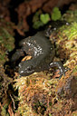 BUITEN BEELD Foto: 41765