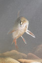 BUITEN BEELD Foto: 41800