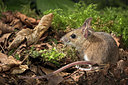 BUITEN BEELD Foto: 41803