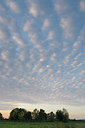 BUITEN BEELD Foto: 41813