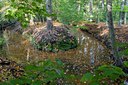 BUITEN BEELD Foto: 41867