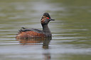 BUITEN BEELD Foto: 41888