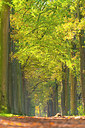 BUITEN BEELD Foto: 419019