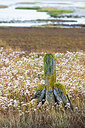 BUITEN BEELD Foto: 419084